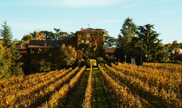 Harvest & Dolce Vita